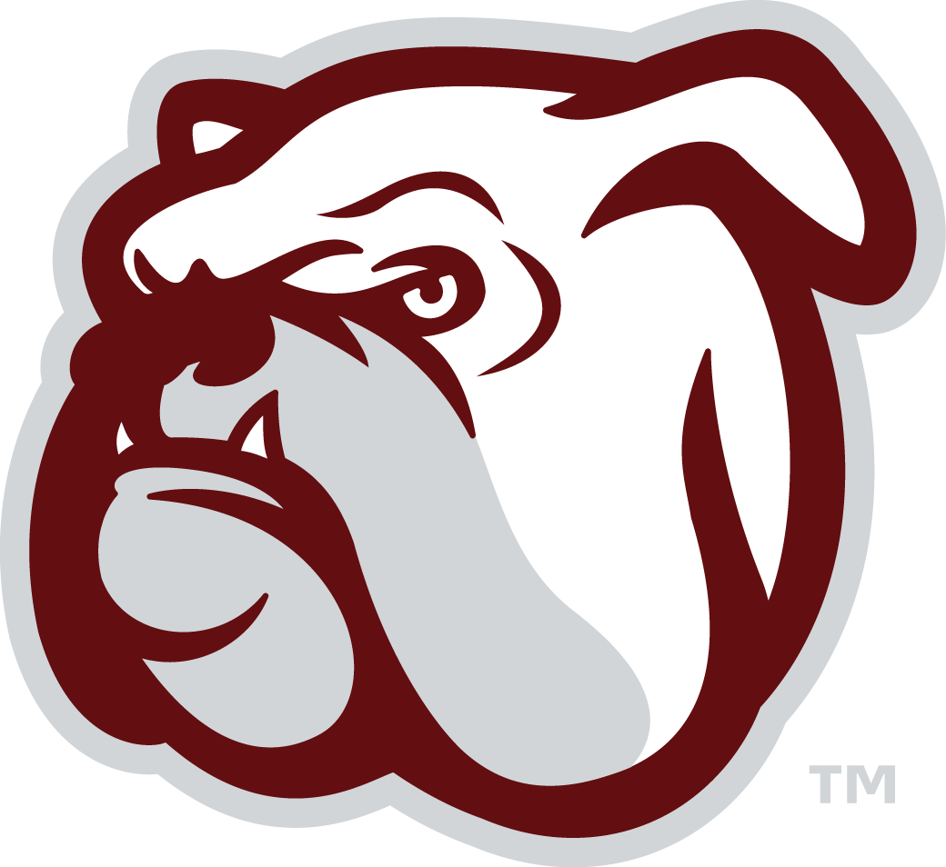 Mississippi State Bulldogs 2009-Pres Alternate Logo v6 diy fabric transfer